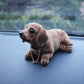 Shaking Head Dog Car Ornament