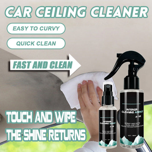 🔥Last Day 50% OFF🔥Car Ceiling Cleaner