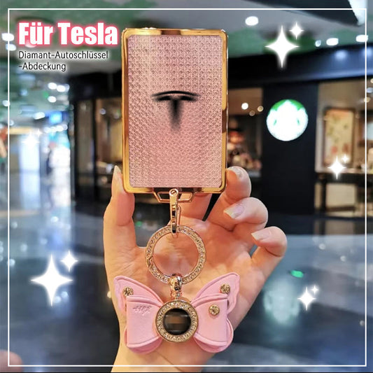 Suitable for Tesla - Gypsophila car key cover